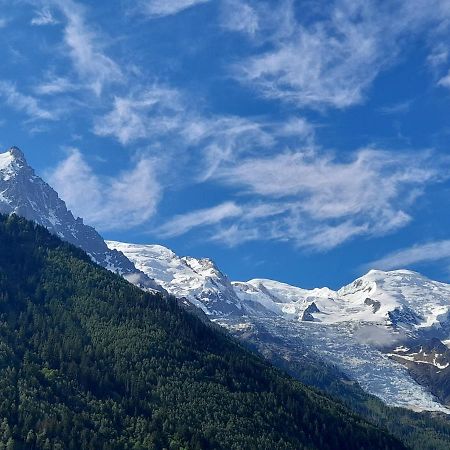 Le Petit Balcon Avec Vue Sur Le Mont-Blanc 2 Etoiles Chamonix Exterior foto