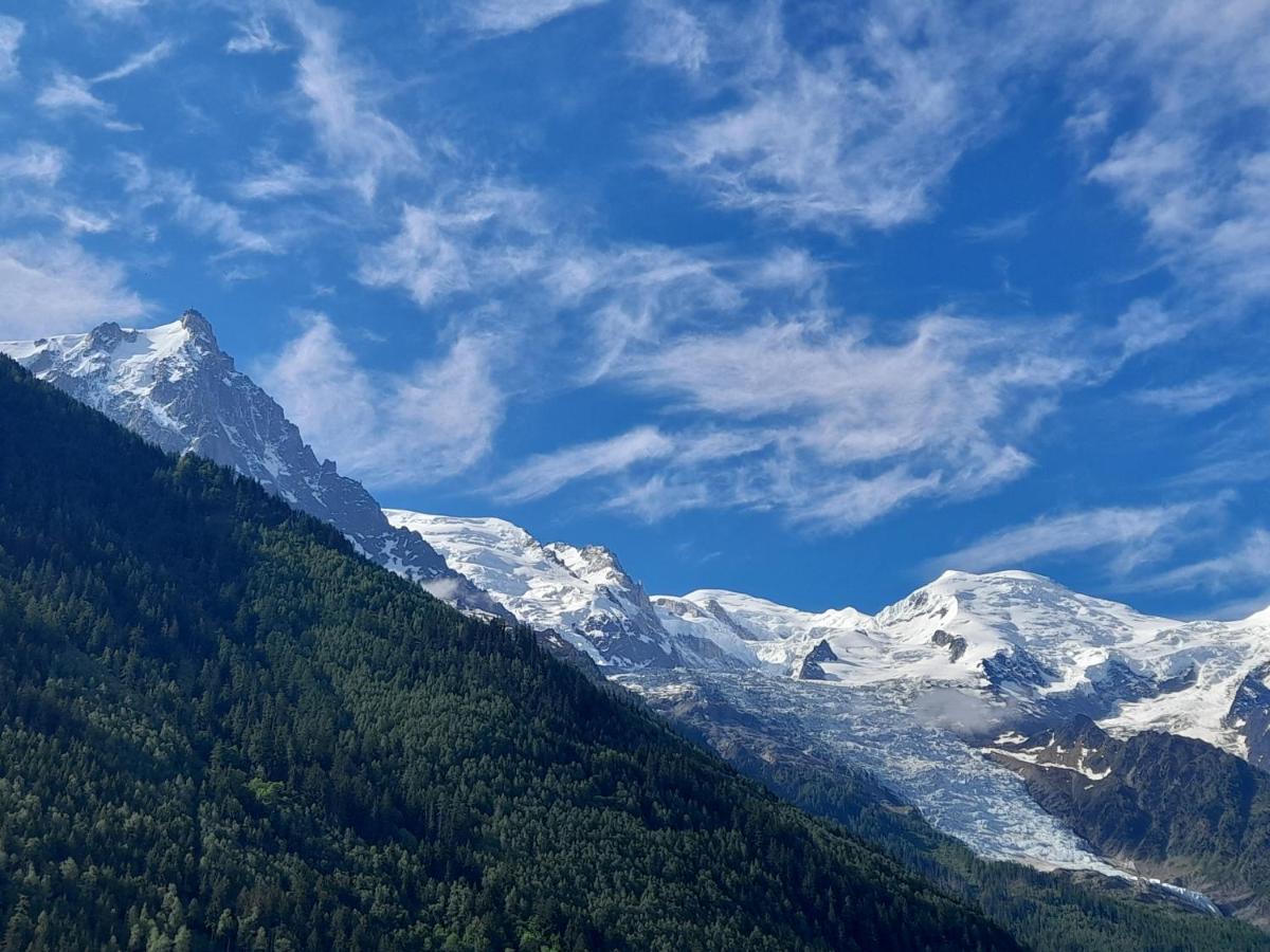 Le Petit Balcon Avec Vue Sur Le Mont-Blanc 2 Etoiles Chamonix Exterior foto